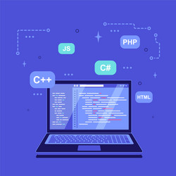 Coding Application Development vector image