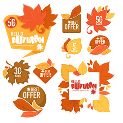 Autumn Sale Stickers Vector Image