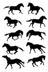 Horse Silhouettes Collection Vector Image