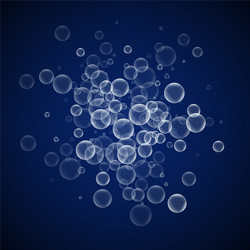random soap bubbles abstract background blowing b vector image