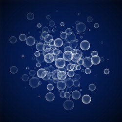 Random soap bubbles abstract background blowing b vector