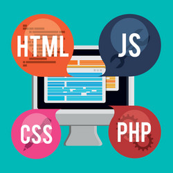 Developer web responsive design vector