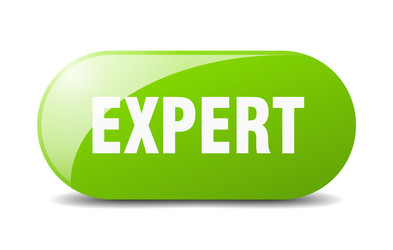 Expert button sign key push vector