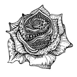 Ornate Rose Doodle Flower Vector Image