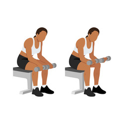 woman doing seated dumbbell palm down wrist curls vector image