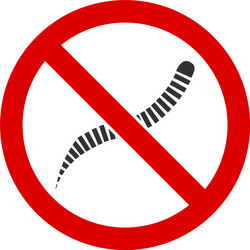 Parasite Tapeworm Flatworm Vector Images (97)