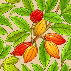 cocoa branches pattern on color background vector image