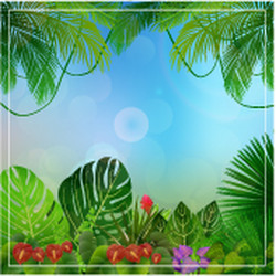 Tropical jungle background Royalty Free Vector Image
