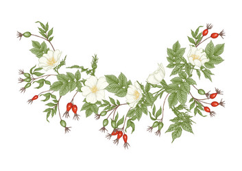 Rose hips with flowers and berries clip art set vector