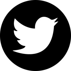 Twitter bird logo realistic social media icon vector