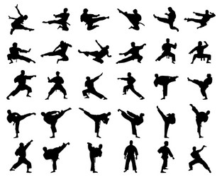 Karate Silhouettes - Fighting Poses Vector Image