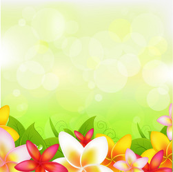 natural background with garland from plumeria vector