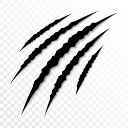 Sharp Claw Marks vector