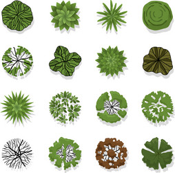 Tree top Royalty Free Vector Image - VectorStock