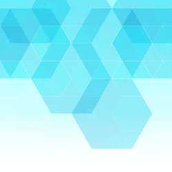 abstract hexagonal backgroundlayout vector image