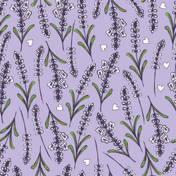 Hand drawn seamless pattern with lavender Vector Image