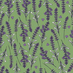 Hand drawn seamless pattern with lavender Vector Image