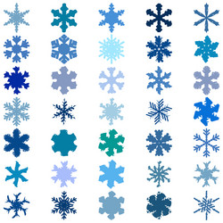 random snowflakes set vector