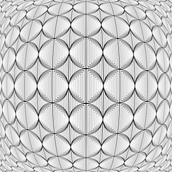 Design warped monochrome circle lines pattern vector