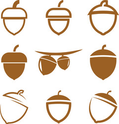 Acorn icon design template isolated vector