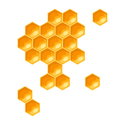 Honeycomb Pattern - Honeycomb Detail vector image