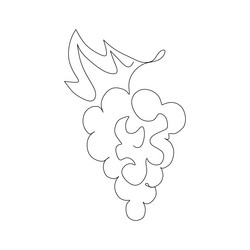 Continuous one line drawing of a bunch grapes vector