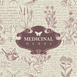 banner for medicinal herbs in retro style vector