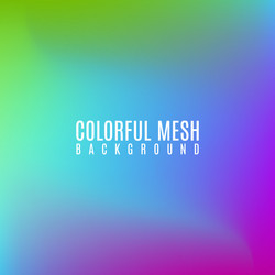 colorful mesh background vector image