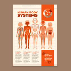 Human Organ Anatomy Poster Royalty Free Vector Image