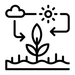 Photosynthesis Royalty Free Vector Image - VectorStock