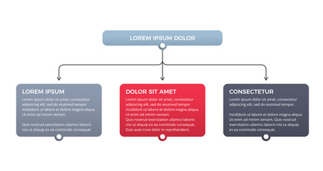 flowchart with 3 elements vector image