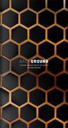 vertical hexagon background gradient color light vector image