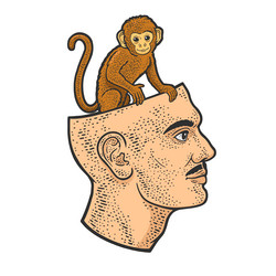 monkey sitting in human head color sketch