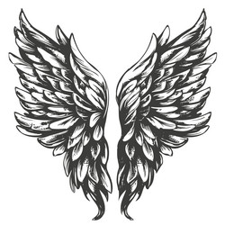 angel wings bird collection cartoon hand Vector Image