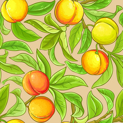 peach branches pattern on color background vector image