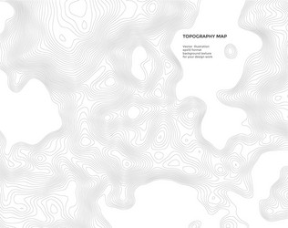 Design element topography map abstract vector