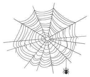 spiderweb graphic element round net black vector image