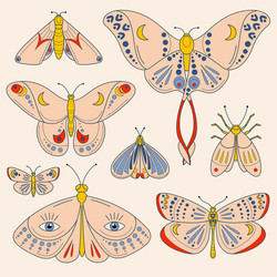 Colorful set moths and butterflies vector