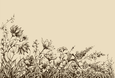 Field flowers sketch Royalty Free Vector Image