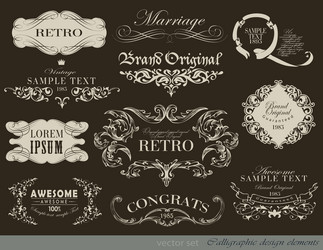 Elegant Calligraphic Borders & Elements Vector Image