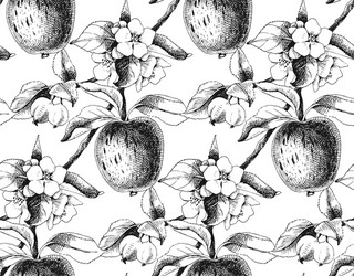 seamless pattern with apple branches vector image