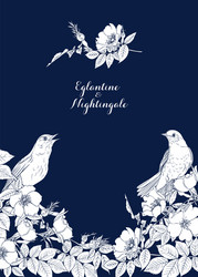 Eglantine Rose & Nightingale Vector Image