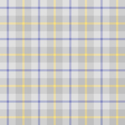 Seamless pattern scottish cage vector