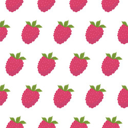 raspberry seamless pattern vector