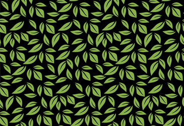 greenery leaf seamless pattern wallpaper Vector Image