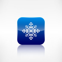 snowflake icon application button vector image