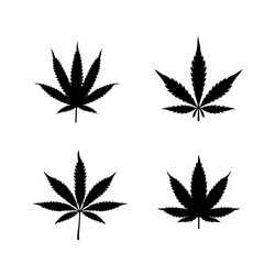 CBD Hemp Leaf Silhouette Logo Vector Image