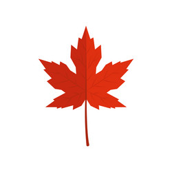 Maple leaf icon Royalty Free Vector Image - VectorStock