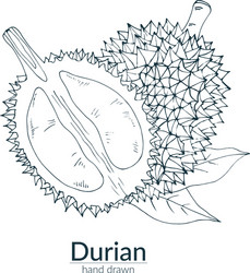 Silhouette Durian Vector Images (99)