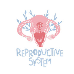 Female reproductive system with flowers vector